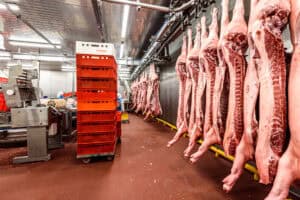 Mäsové prevádzky a lahôdky